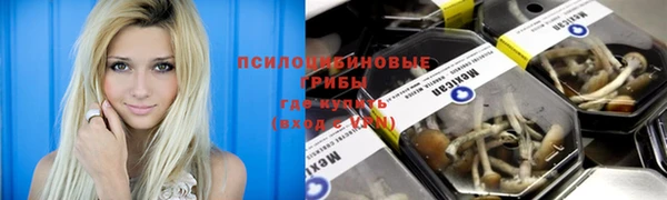 хмурый Рославль