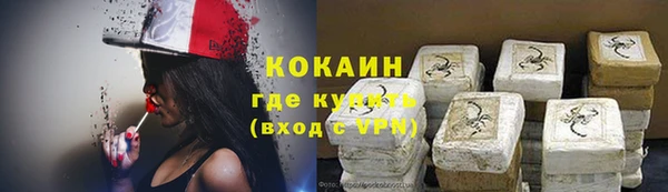 индика Алзамай