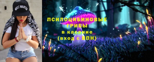хмурый Рославль