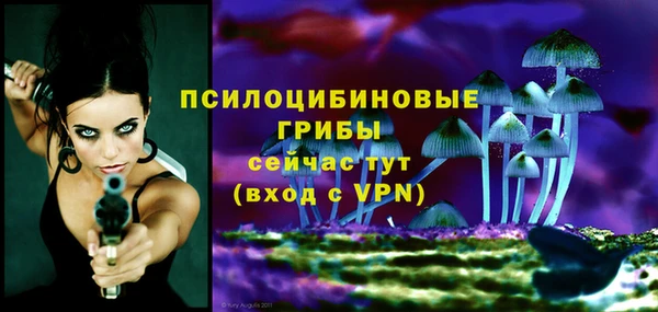 тгк Аркадак