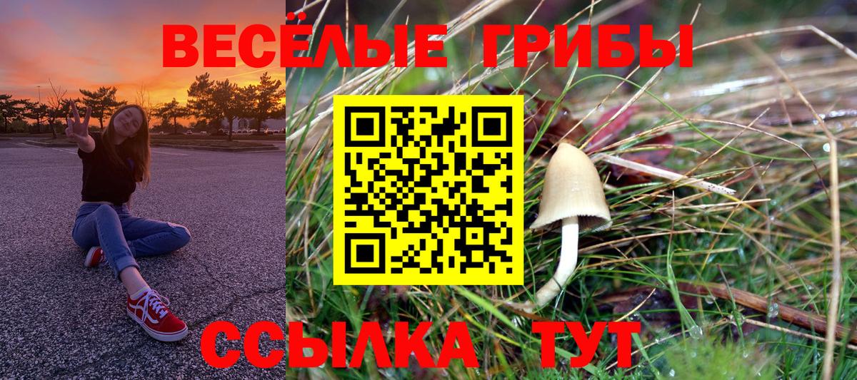 Шатура  Галлюциногенные грибы Magic Shrooms  Вход с VPN  Псилоцибиновые грибы Psilocybe 