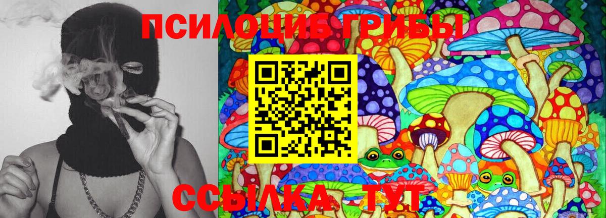 Псилоцибиновые грибы мухоморы Шатура